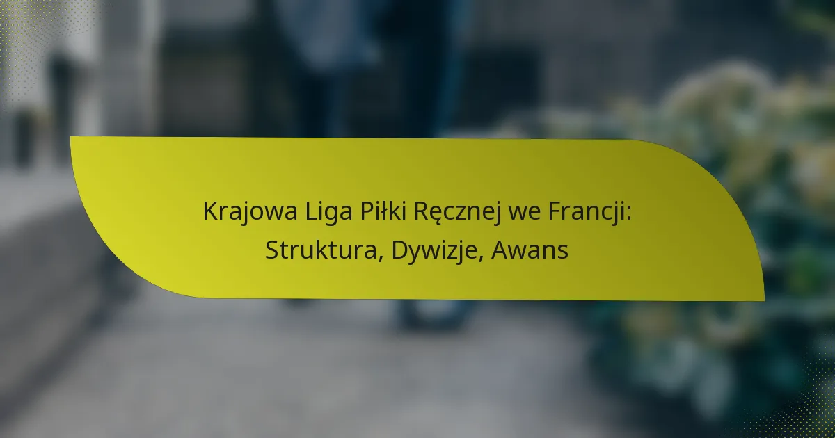 Krajowa Liga Piłki Ręcznej we Francji: Struktura, Dywizje, Awans