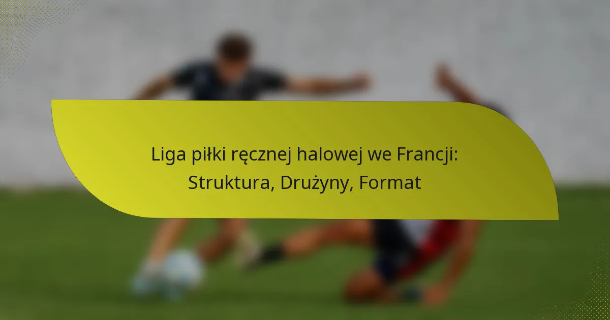 Liga piłki ręcznej halowej we Francji: Struktura, Drużyny, Format