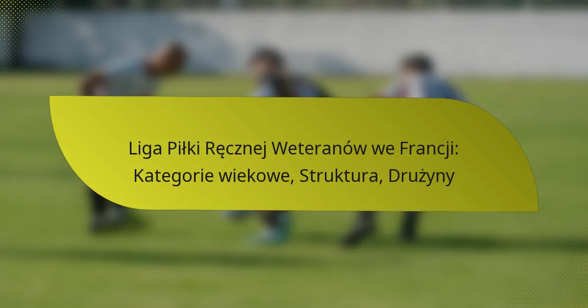 Liga Piłki Ręcznej Weteranów we Francji: Kategorie wiekowe, Struktura, Drużyny