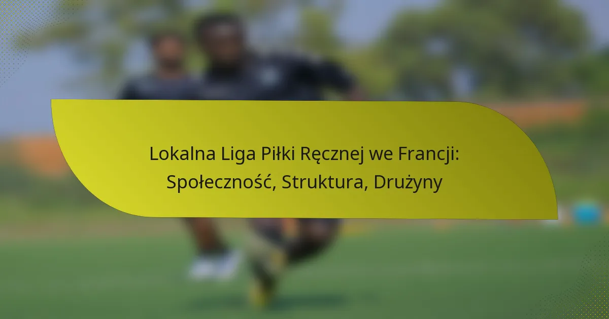 Lokalna Liga Piłki Ręcznej we Francji: Społeczność, Struktura, Drużyny