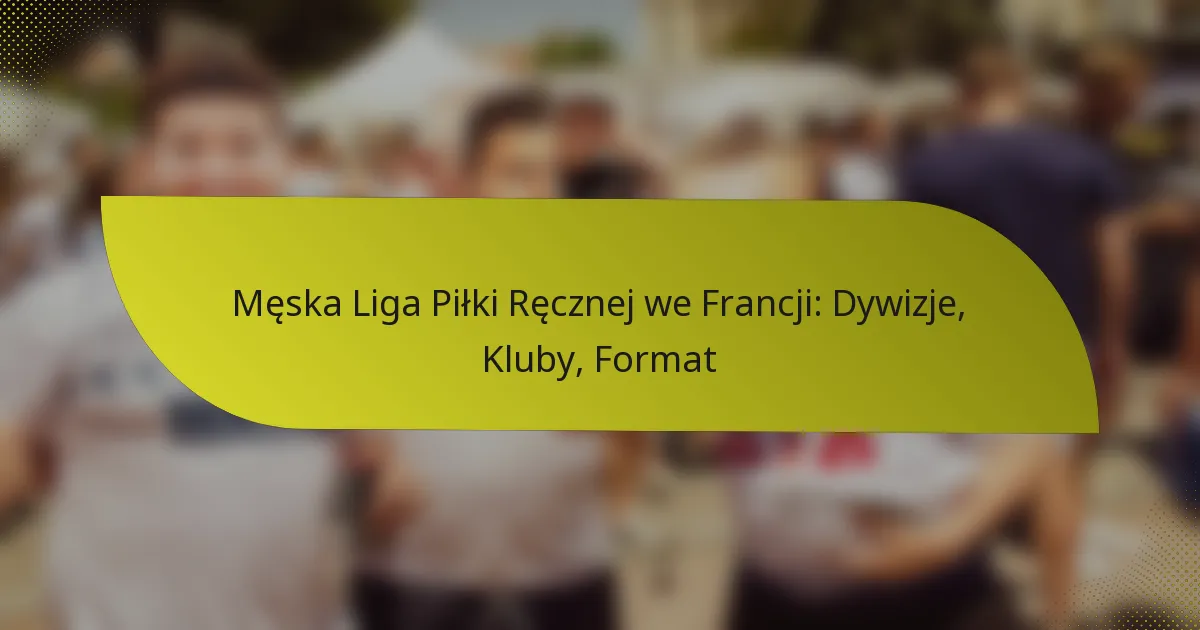 Męska Liga Piłki Ręcznej we Francji: Dywizje, Kluby, Format
