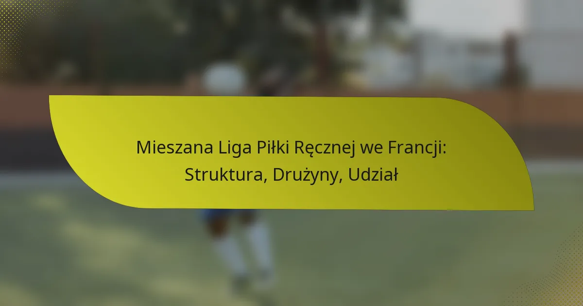 Mieszana Liga Piłki Ręcznej we Francji: Struktura, Drużyny, Udział