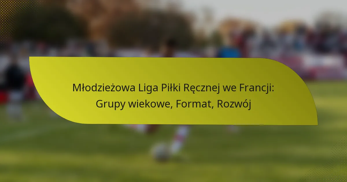Młodzieżowa Liga Piłki Ręcznej we Francji: Grupy wiekowe, Format, Rozwój
