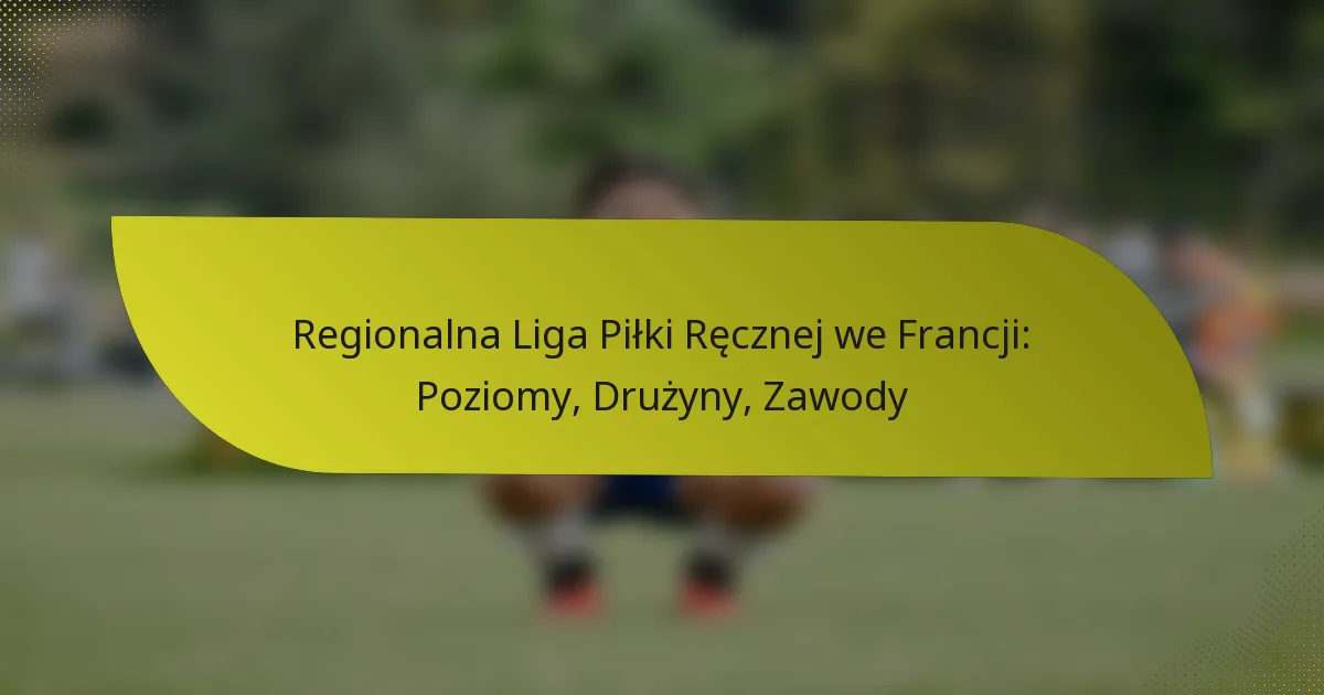 Regionalna Liga Piłki Ręcznej we Francji: Poziomy, Drużyny, Zawody