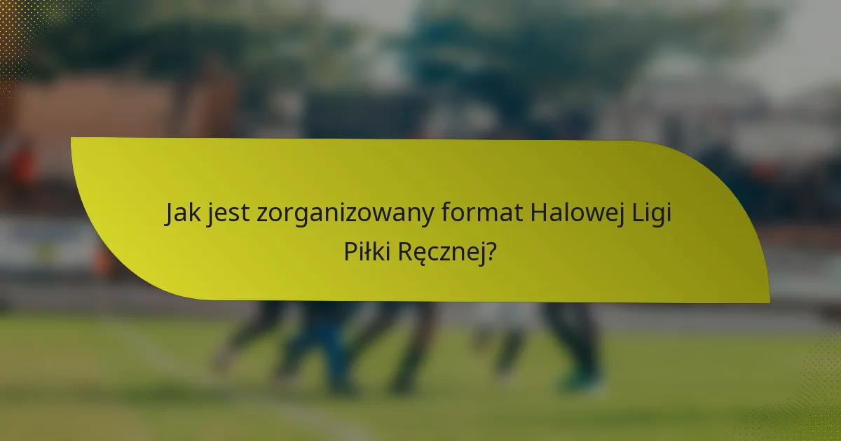 Jak jest zorganizowany format Halowej Ligi Piłki Ręcznej?