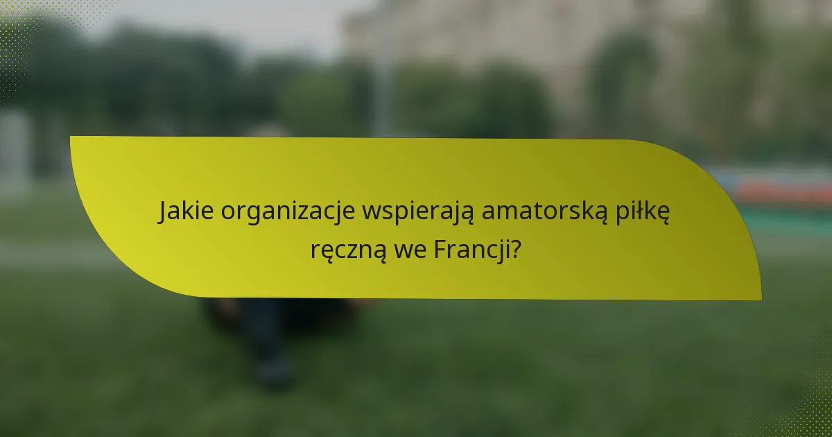 Jakie organizacje wspierają amatorską piłkę ręczną we Francji?